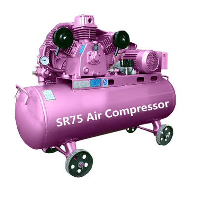 Reciprocating Compressors Small Electric Air Compressors Machine Piston Air Compressors